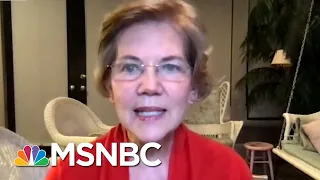 Warren: Testing, Equipment Two Biggest Failures Of COVID-19 Response | Rachel Maddow | MSNBC