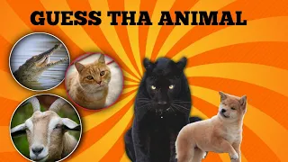 Guess tha animal || eye testing