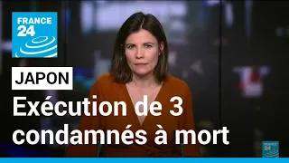 Le Japon exécute trois condamnés à mort, une première depuis 2019 • FRANCE 24