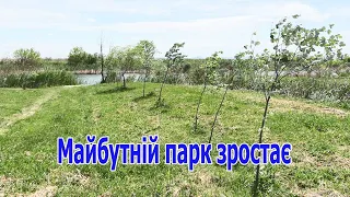 У селі Саф'янівської громади місцеві активісти вже четвертий рік самотужки облаштовують паркову зону