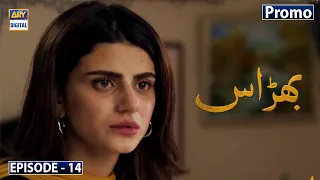 Bharaas Episode 14 - Promo - ARY Digital Drama