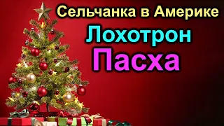 Сельчанка в Америке  Лохотрон