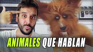 ANIMALES QUE HABLAN - Mejores escenas 😂