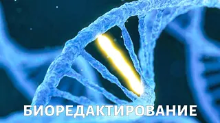 Генетическое редактирование: как и зачем?