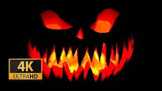 Scary Spooky Halloween Pumpkin Background Video 4K