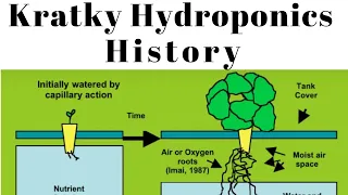 History of the Suspended Pot, Non Circulating 'Kratky' Hydroponic Method