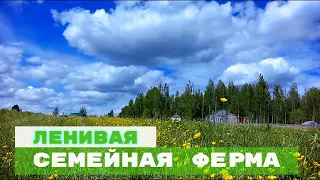 ДЕЛАЙ МЕНЬШЕ, ПОЛУЧАЙ БОЛЬШЕ!