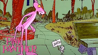 Pink Panther Finds A Little Bird | 35-Minute Compilation | Pink Panther Show