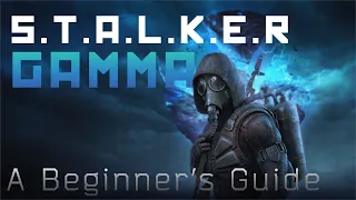 Mastering STALKER GAMMA: VITAL Tips for New Players! - Loadout, Health, Weapons, and Crafting Guide
