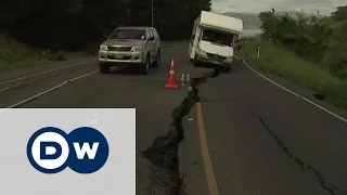 Наслідки землетрусу в Новій Зеландії