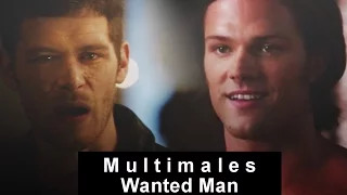 Multimale | Wanted Man [+queenM]