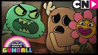 Gumball Türkçe | Çiçek | çizgi film | Cartoon Network