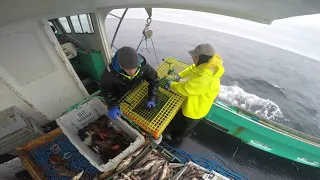 Lobstering off SouthWest Nova Scotia in District 34 #2