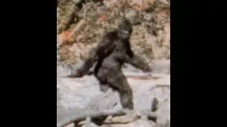 What is the Patterson-Gimlin Film? 50th Anniversary of Patterson-Gimlin Film