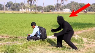 Gorilla Attack Prank | Scary Gorilla Prank on Public - Awesome Reaction | FS Dhamaka Funny BD