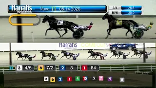 Century Farroh - 2020 Dan Patch Stakes - Hoosier Park