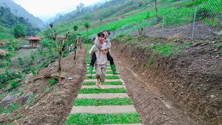 Sang vy renovates the entrance to the green farm - Planting Flowers & Trees  - Sang vy family farm