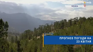 🌫Прогноз погоди на 23 квітня: місцями туман