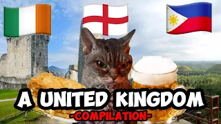 CAT MEMES:  FAMILY VACATION UNITED KINGDOM COMPILATION EP.2