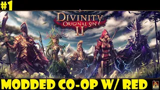 Let's Play Divinity: Original Sin 2 Modded CO-OP #1 - A Journey Begins