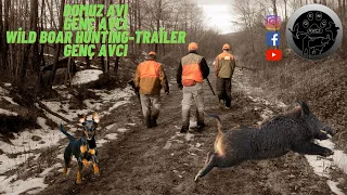 DOMUZ AVI 2021- WILD BOAR HUNTS -Κυνήγι Αγριόχοιρου- Trailer/Fragman GENÇ AVCI