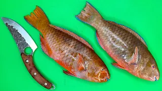 RAINBOW PARROT FISH || CLEAN & COOK || RAINBOW PARROT FISH Recipe