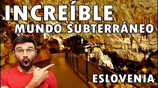 Visita a las CUEVAS DE POSTOJNA ESLOVENIA #eslovênia #cuevas #increible