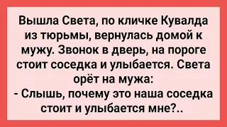 Уголовница Света Кувалда Вышла из Зоны и Пришла к Мужу! Сборник Свежих Смешных Жизненных Анекдотов!