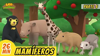 Mamíferos Episodio Compilación [Parte 5/6] (Español) - Leo, El Explorador | Animación - Familia