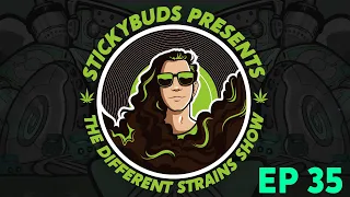 The Different Strains Show (EP35) - All DNB episode!