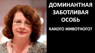 Доминантная заботливая особь какого животного?