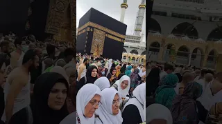 Makkah live today now|Hajj 2023 |naat sharif #kaba #makkah #hajj #shortfeed