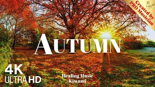 Autumn Serenity: Classical Guitar Melodies for Relaxation and Renewal 🍂🎸