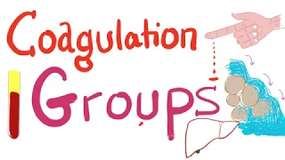 The 3 Coagulation Groups | Fibrinogen, Prothrombin, and Contact Groups