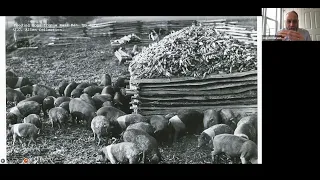 Iowa History 101: Capitalist Pigs: Pigs, Pork, and Power in America