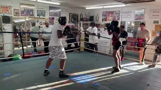 Full sparring against my smaller friend