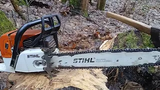 STIHL Бензопила ще та , аж мозґи виїдає . Metallica. 🔥 🔥 🔥 🔥 🔥