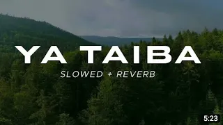 YA TAIBA SLOW & REVERB AYISHA ABDUL BASIT HMMAD SLPW & REVERB @slowreverbarena