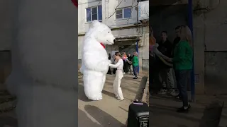 поздравление белого Мишки, Медведя