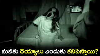 మనకు దెయ్యాలు ఎందుకు కనిపిస్తాయి? This Revealing Science Explains Why People See Ghosts