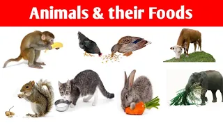 Animals and their foods Name....... with pictures