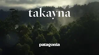 takayna | What If Running Could Save a Rainforest?