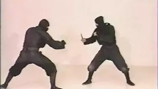 Koga Ryu Ninjutsu 3