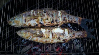 How to grill mullet