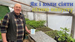 Як і коли сіяти пізню капусту