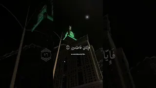 ﴿ يَا عبادِي الذِين آمنُوا إِن ارضِي وَاسِعَة ﴾ سوره العنكبوت، عبدالرحمن مسعد #ارح_قلبك #قران_كريم