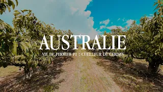 Cueilleur de cerises/Cherry Picking (#australia EP6)