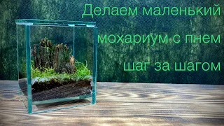 Делаем мохариум с обросшим пеньком