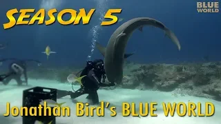 Season 5 Highlights | JONATHAN BIRD'S BLUE WORLD Extra