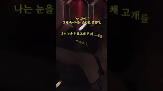 [늙기전에 읽어야할 애정소설119] 그레이의 50가지 그림자(Fifty Shades of Grey)